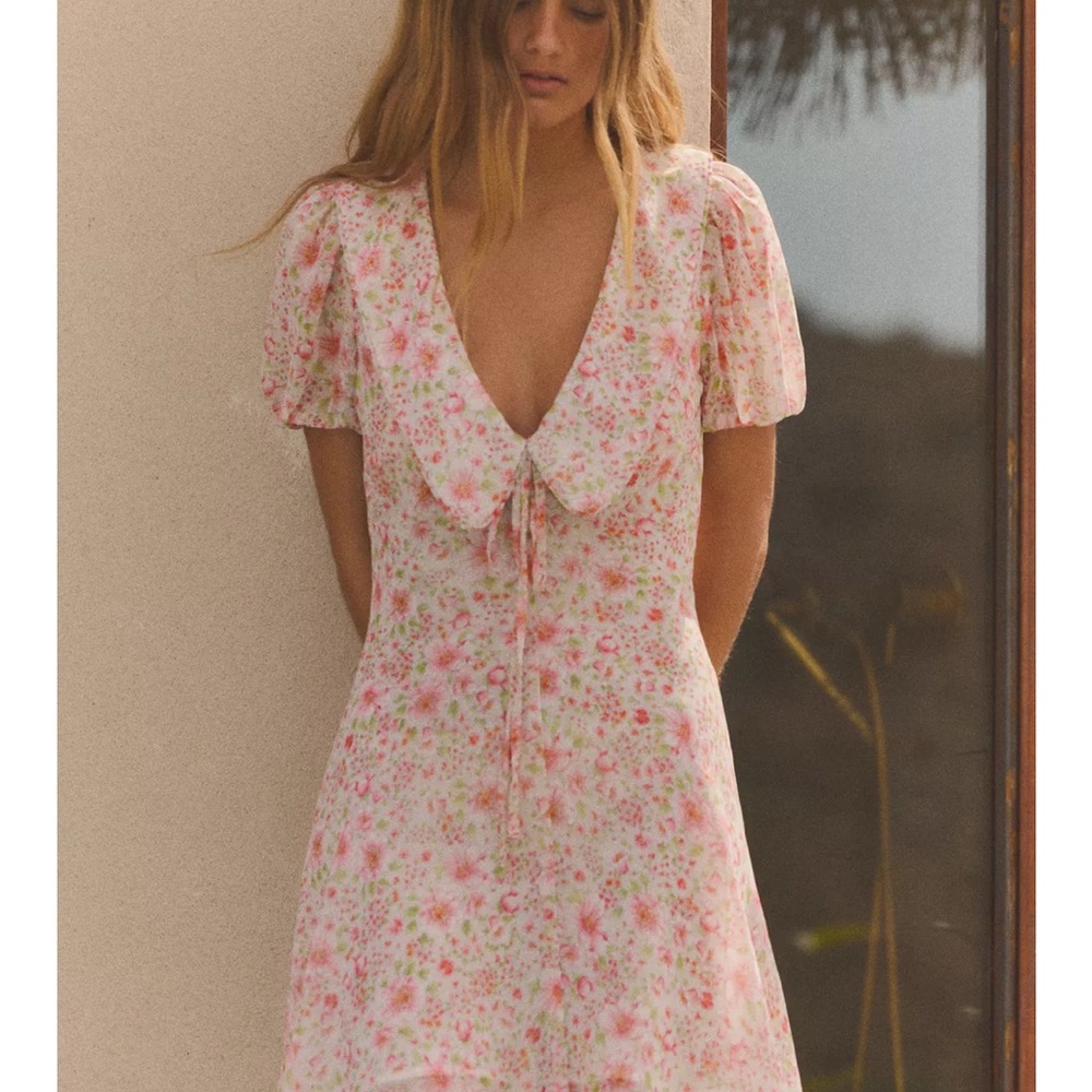 Zara Floral Pink Dress